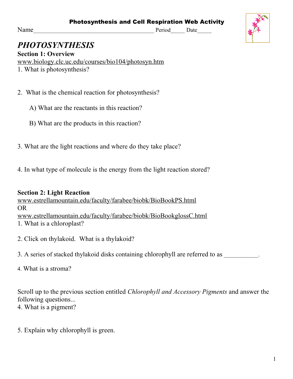 Photosynthesis and Cell Respiration Web Activity