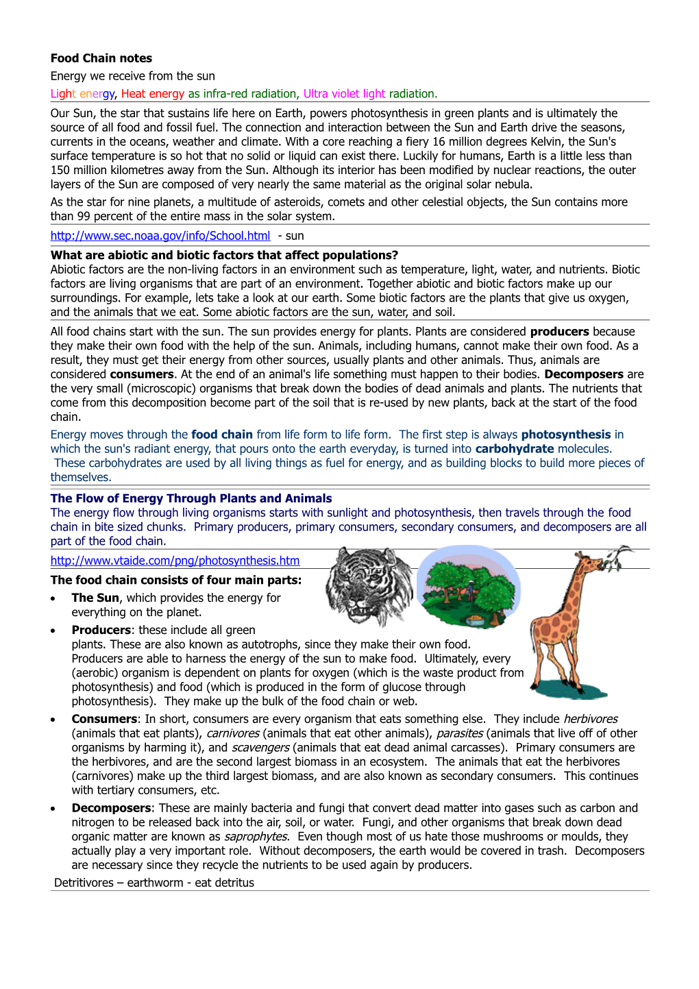 Food Chain Notes