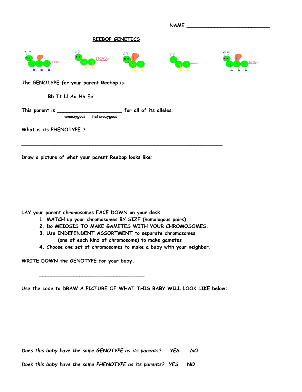 The GENOTYPE for Your Parent Reebop Is