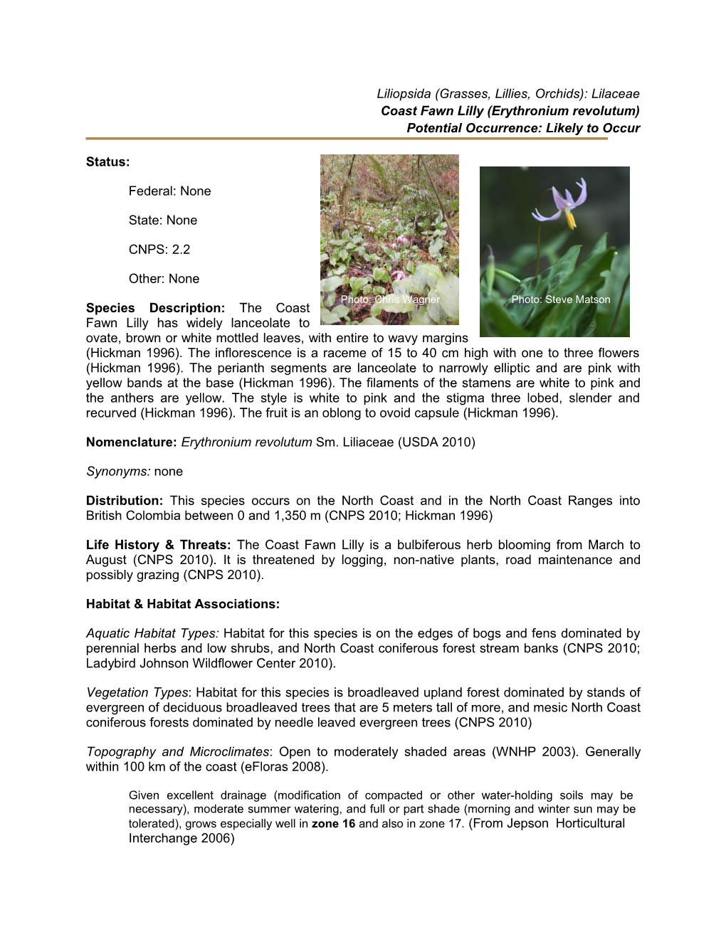 Coast Fawn Lilly (Erythronium Revolutum)