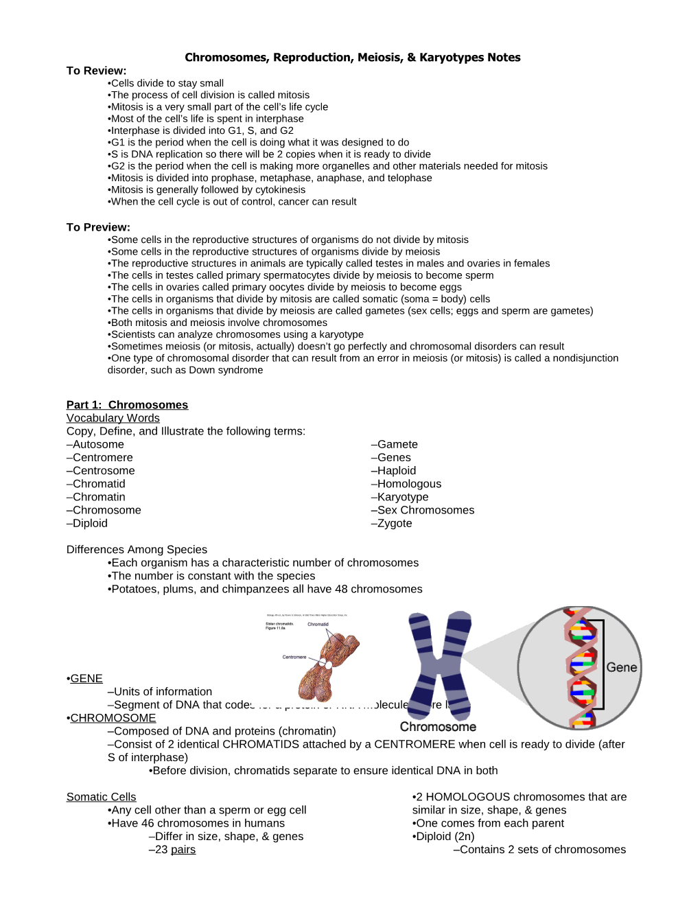 Chromosomes, Reproduction, Meiosis, & Karyotypes