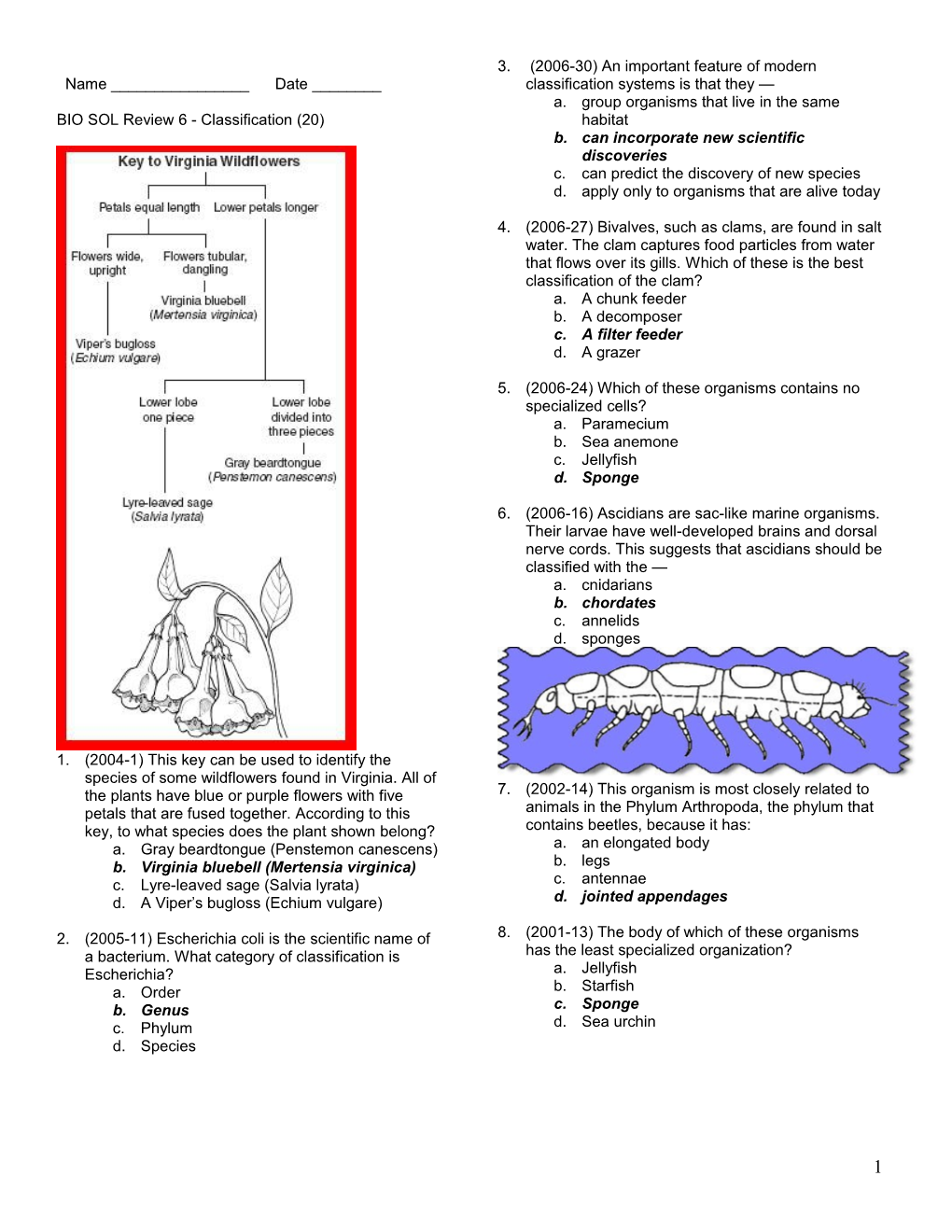 BIO SOL Review 6 - Classification (20)