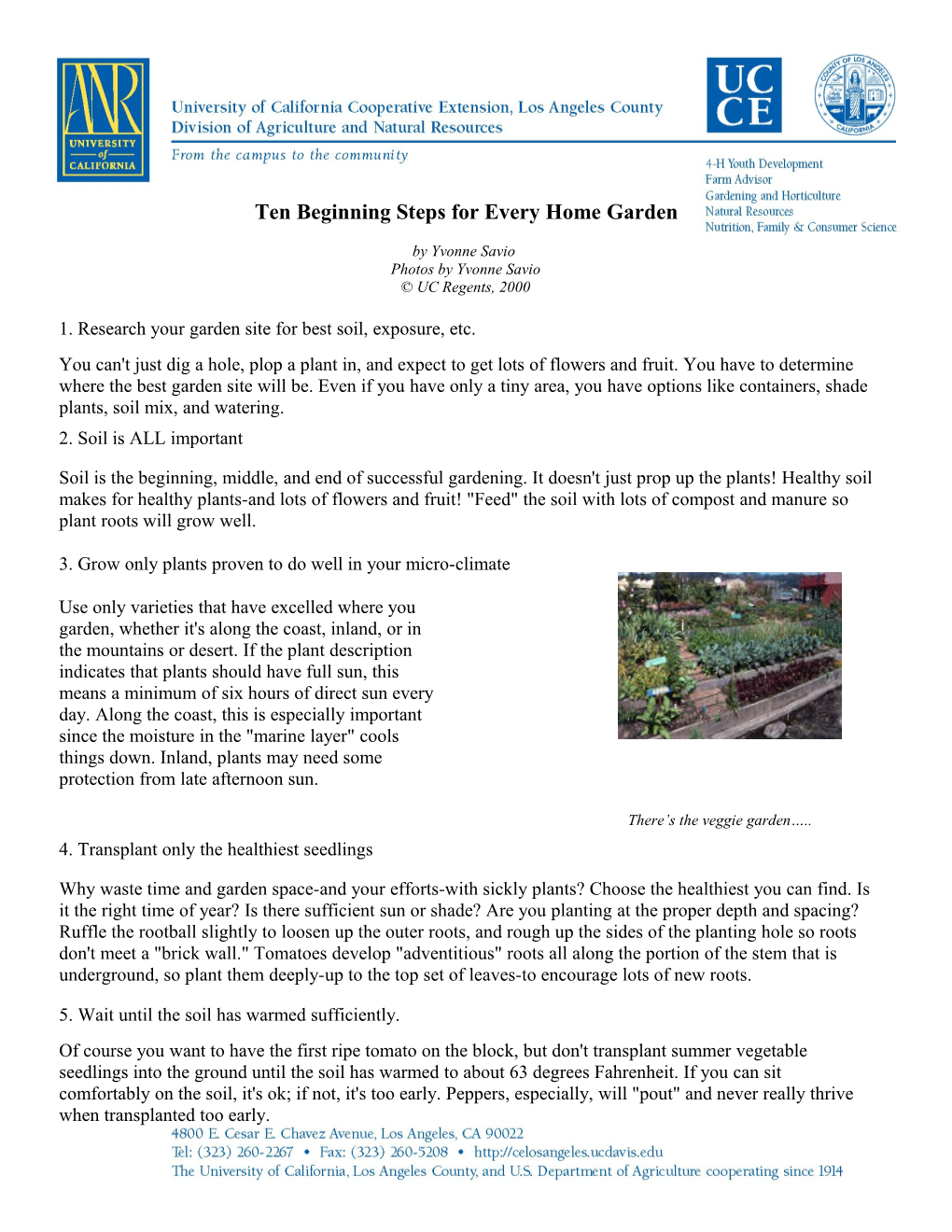Ten Beginning Steps for Every Home Garden