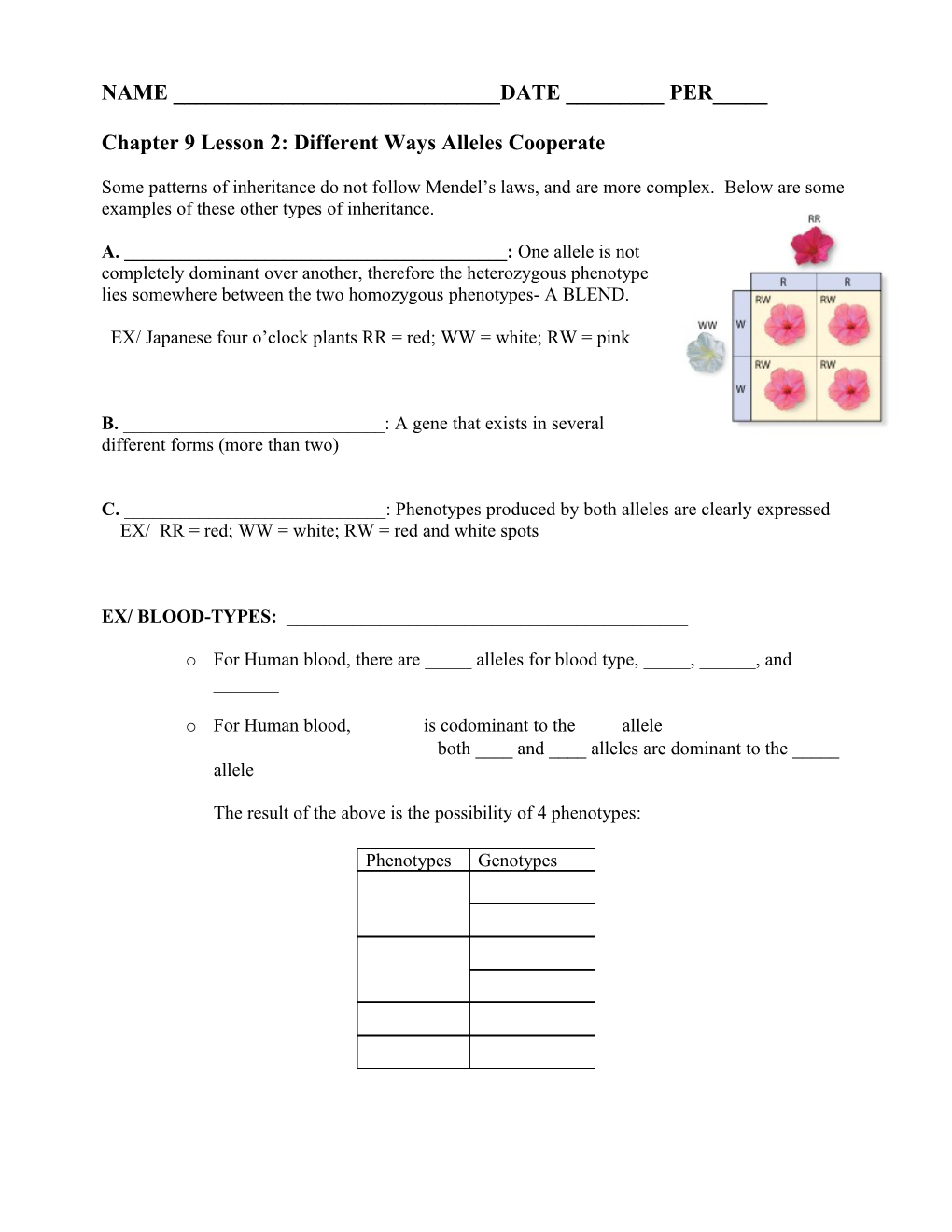 Chapter 9 Lesson 2: Different Ways Alleles Cooperate