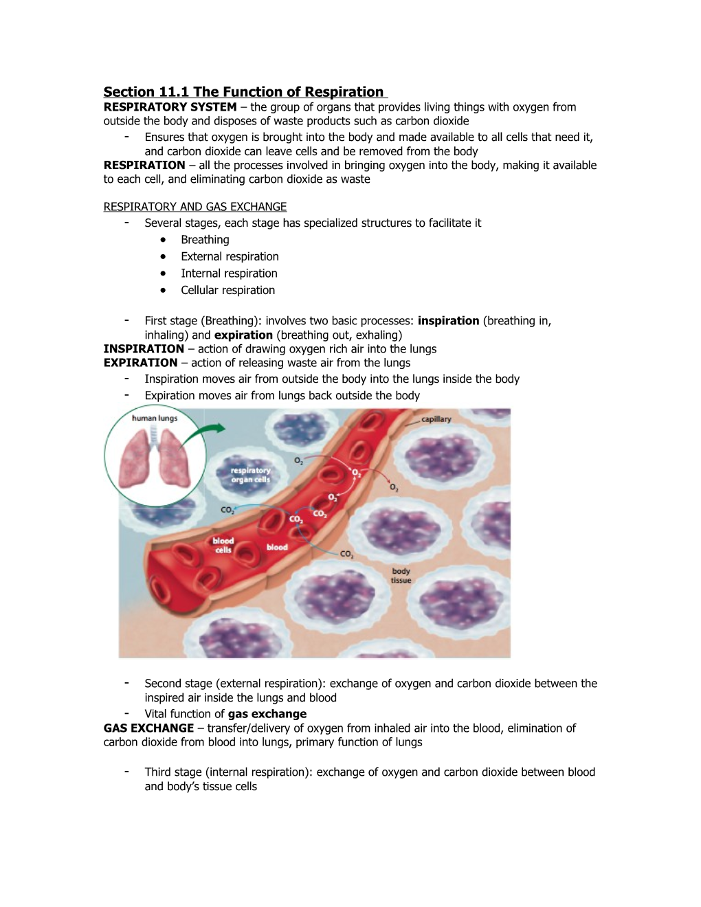 Section 11.1 the Function of Respiration