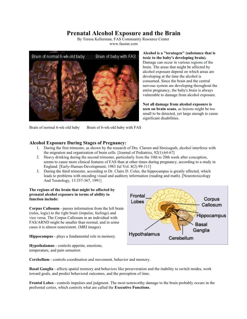 Prenatal Alcohol Exposure and the Brain