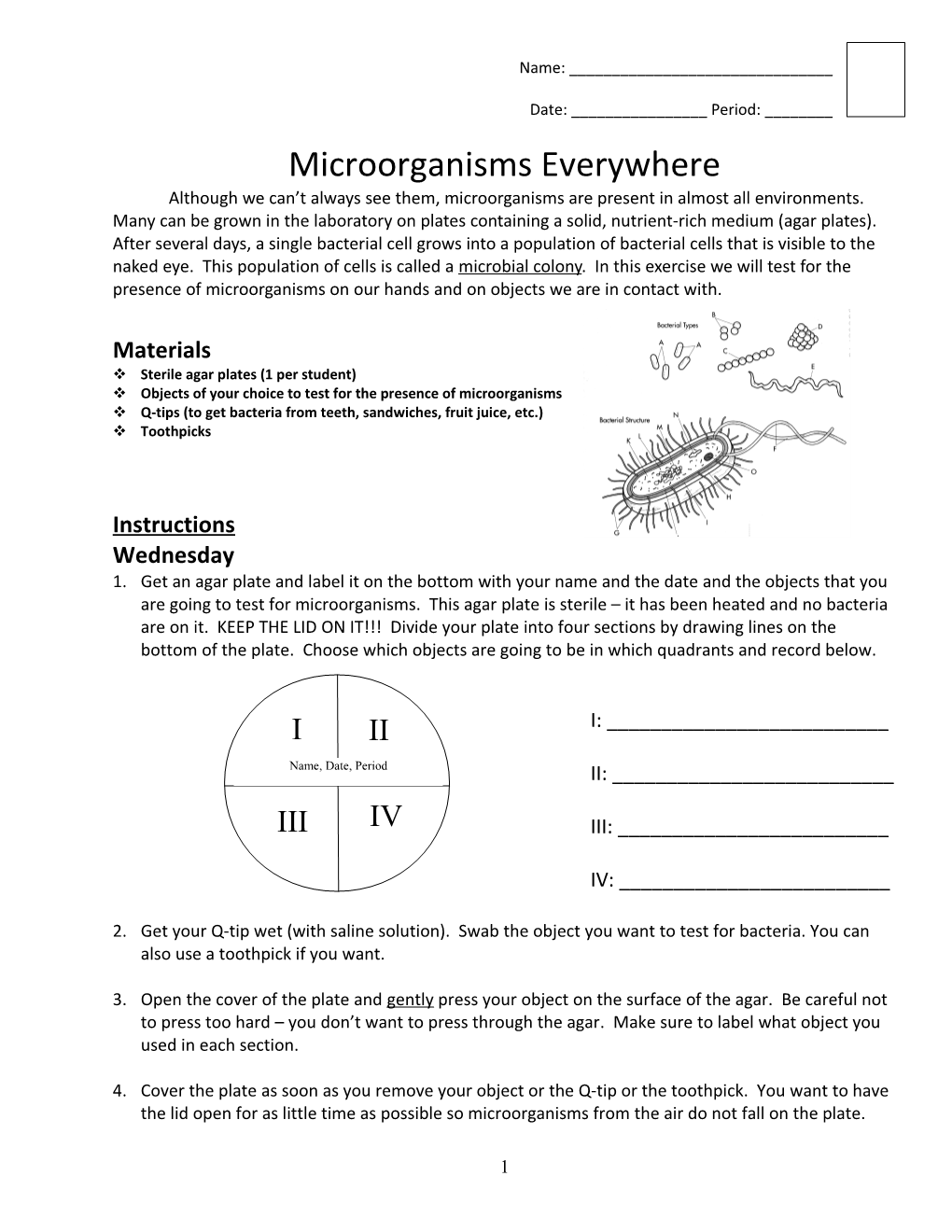 Microorganisms Everywhere