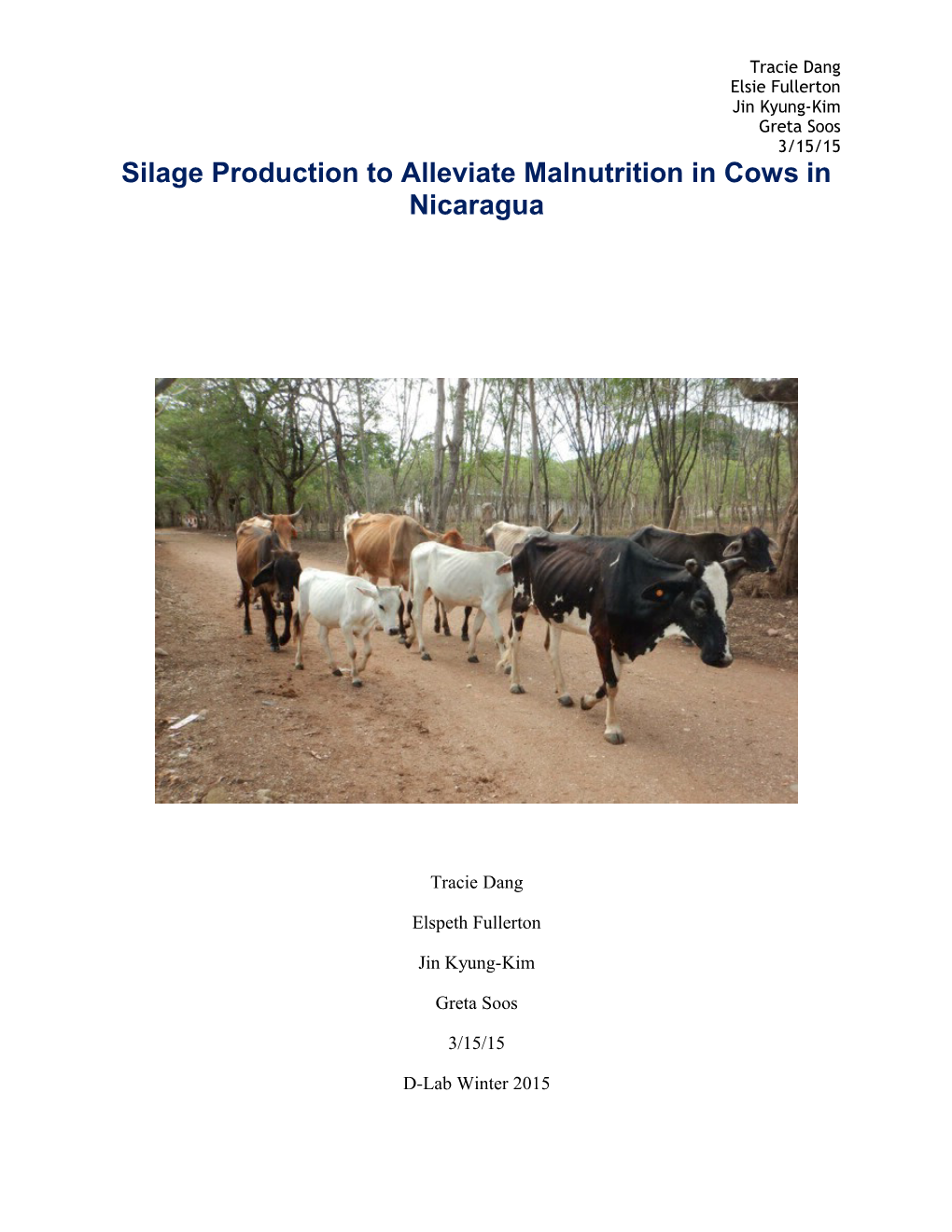 Silage Production to Alleviate Malnutrition in Cows in Nicaragua