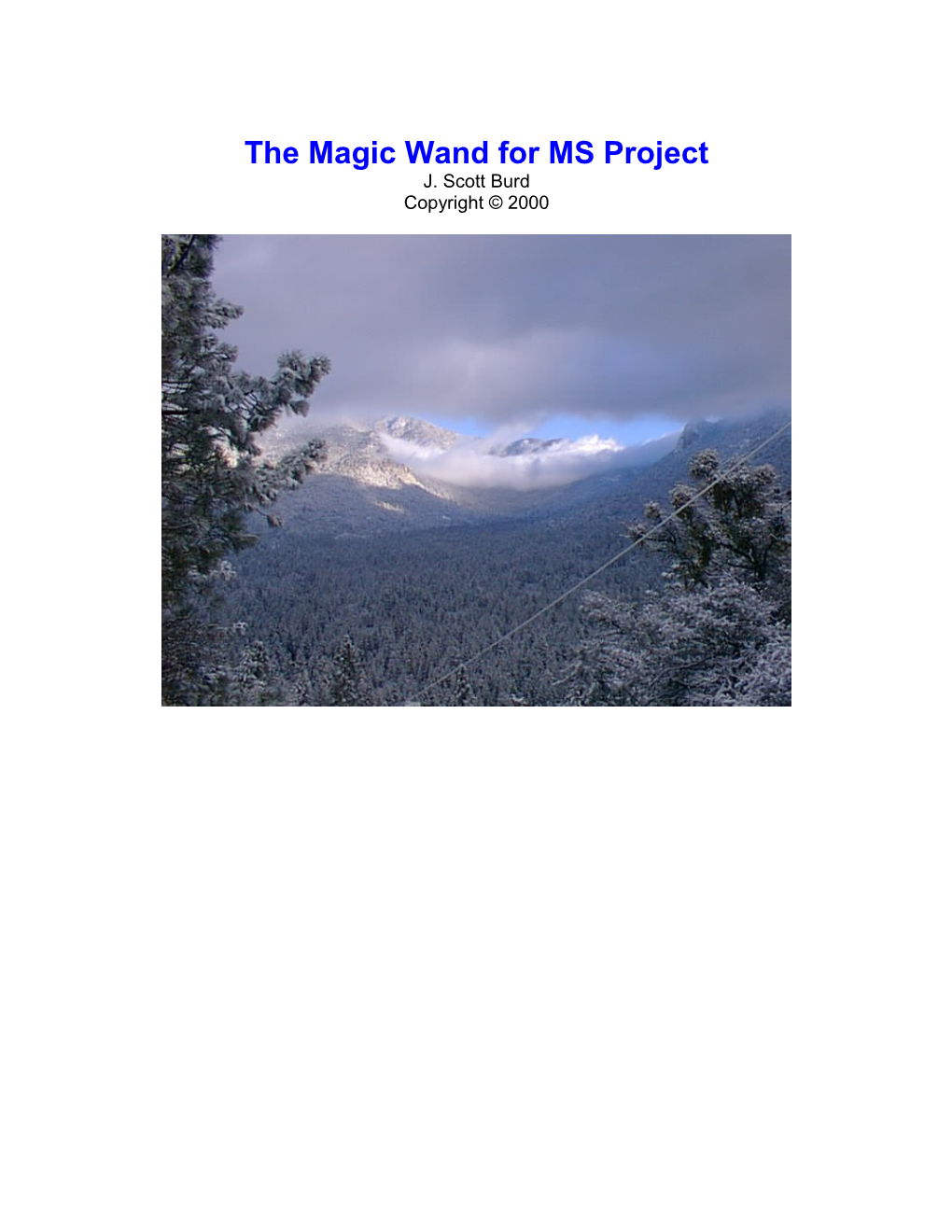 The Magic Wand for MS Project