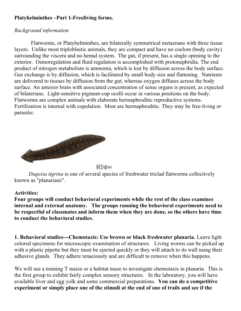 Platyhelminthes Part 1-Freeliving Forms