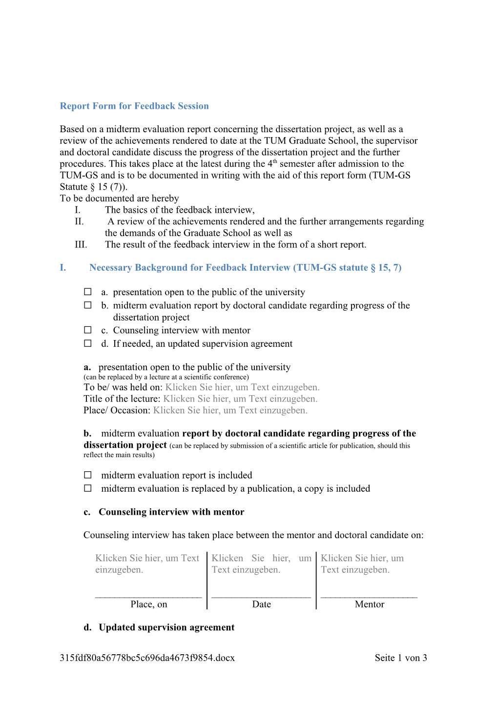 Report Form for Feedback Session