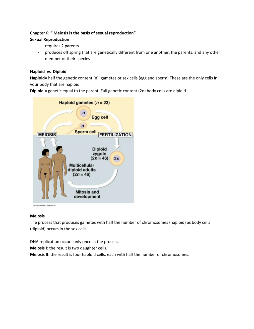 Chapter 6: Meiosis Is the Basis of Sexual Reproduction