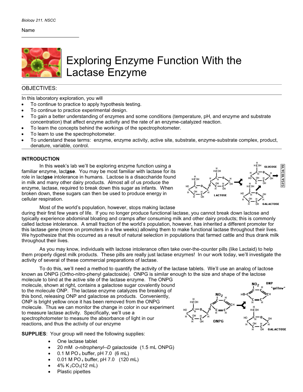 Biology 211: Exploring Lactase Activity 1