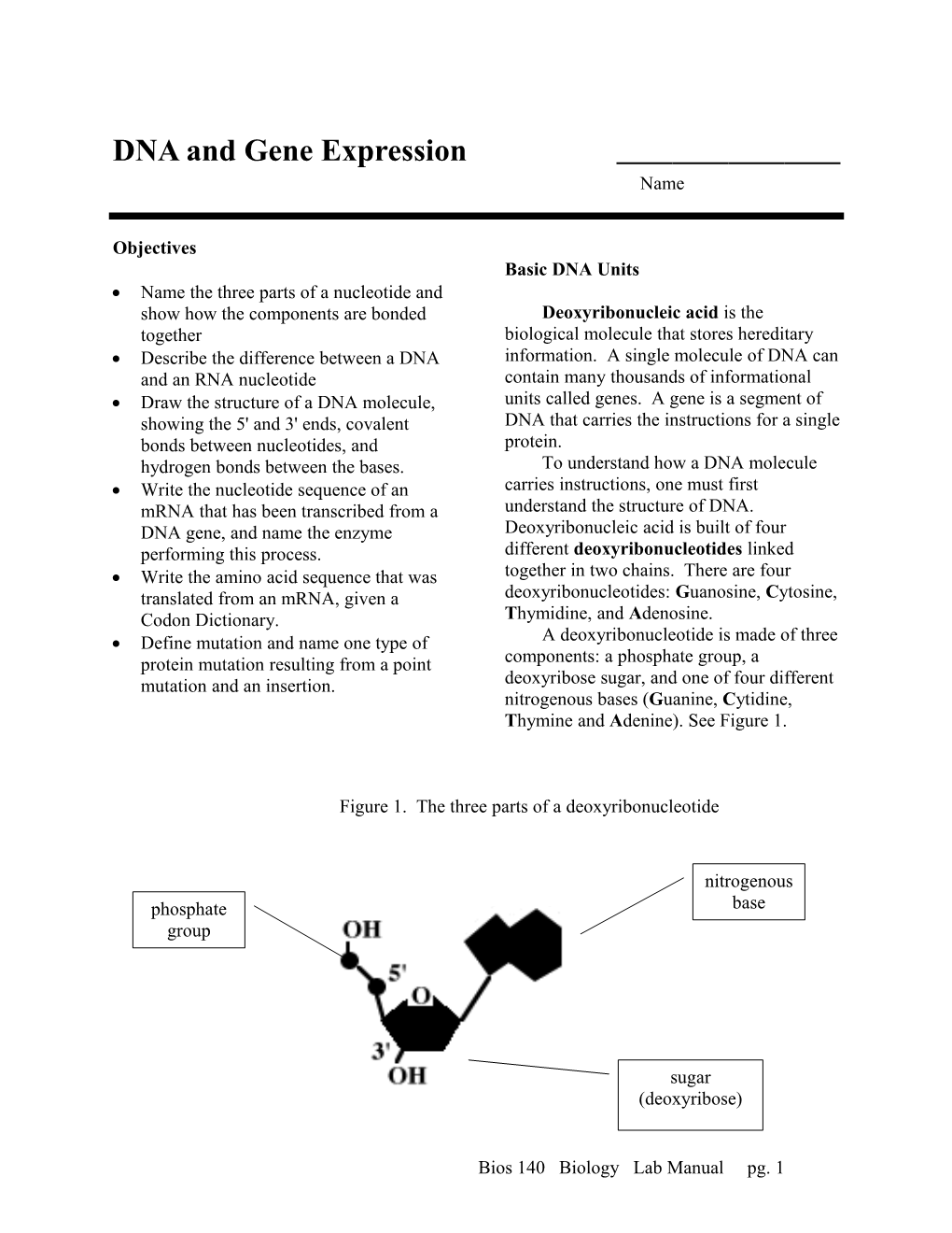 DNA and Gene Expression