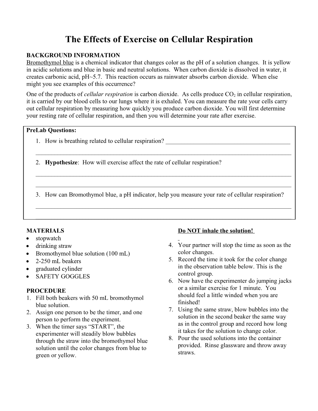 The Effects of Exercise on Cellular Respiration