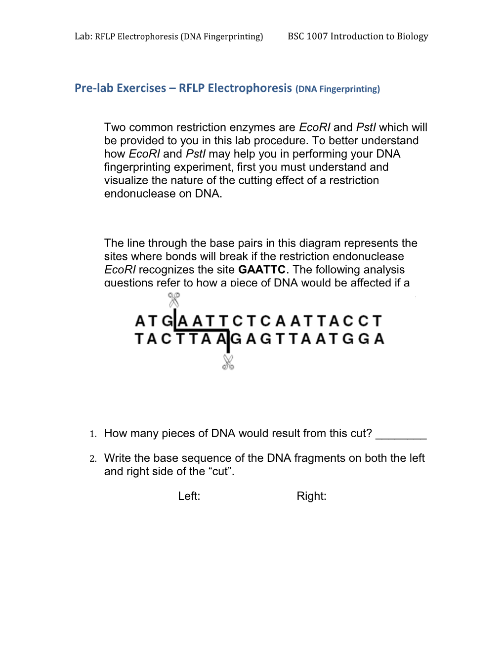 Pre-Lab Exercises RFLP Electrophoresis (DNA Fingerprinting)