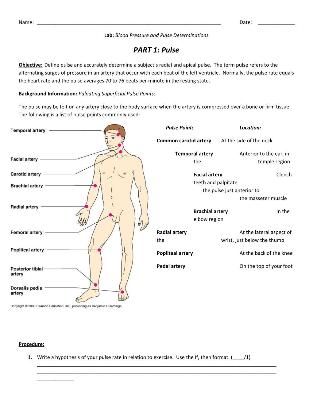 Lab: Blood Pressure and Pulse Determinations