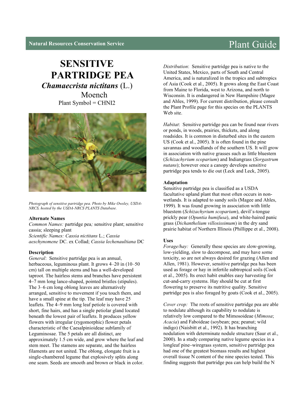 Sensitive Partridge Pea (Chamaecrista Nictitans) Plant Guide