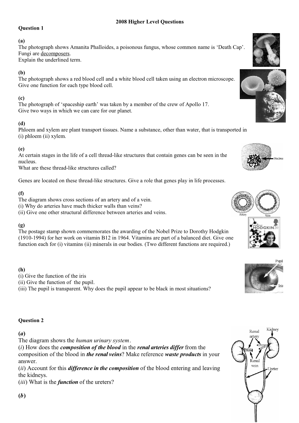 2008 Higher Level Questions