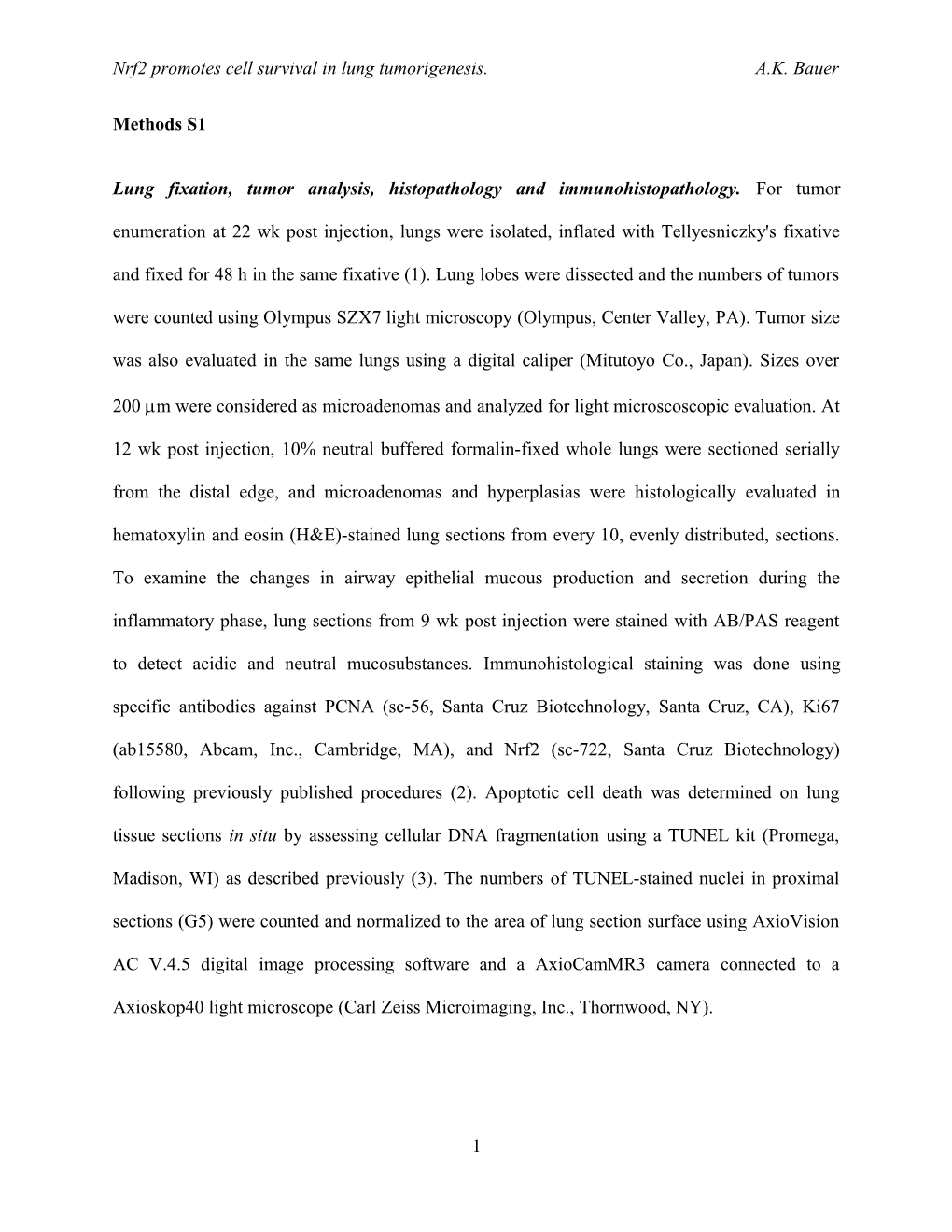 Targeted Deletion of Nrf2 Reduces Urethane-Induced Lung Tumor Development in Mice