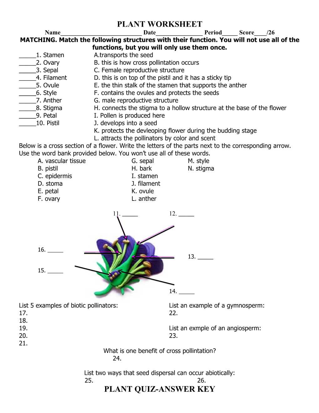 MATCHING. Match the Following Structures with Their Function. You Will Not Use All Of