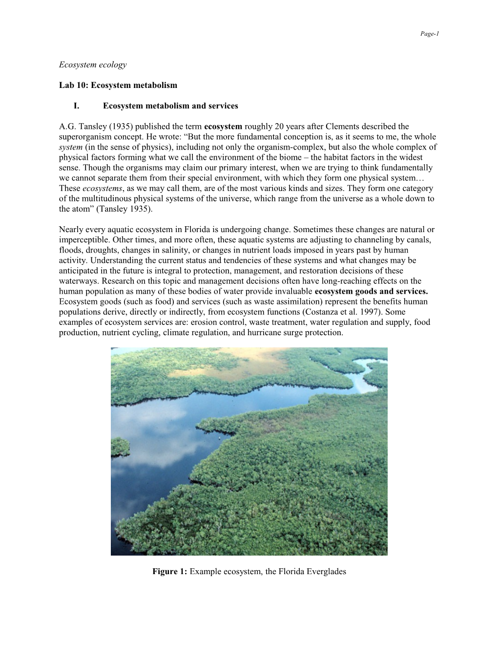 Lab 10: Ecosystem Metabolism