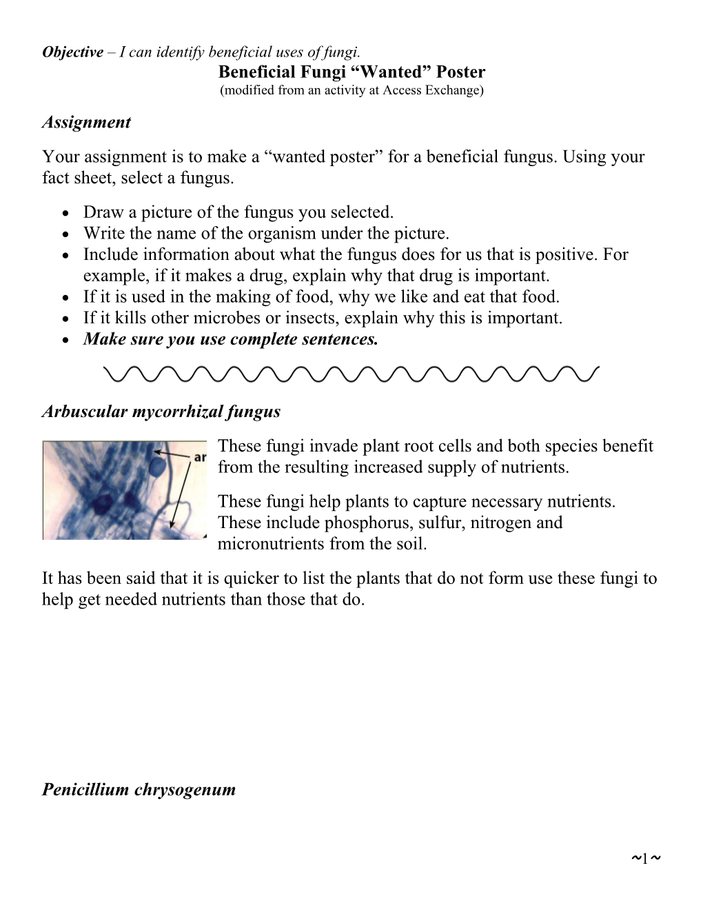 Objective I Can Identify Beneficial Uses of Fungi