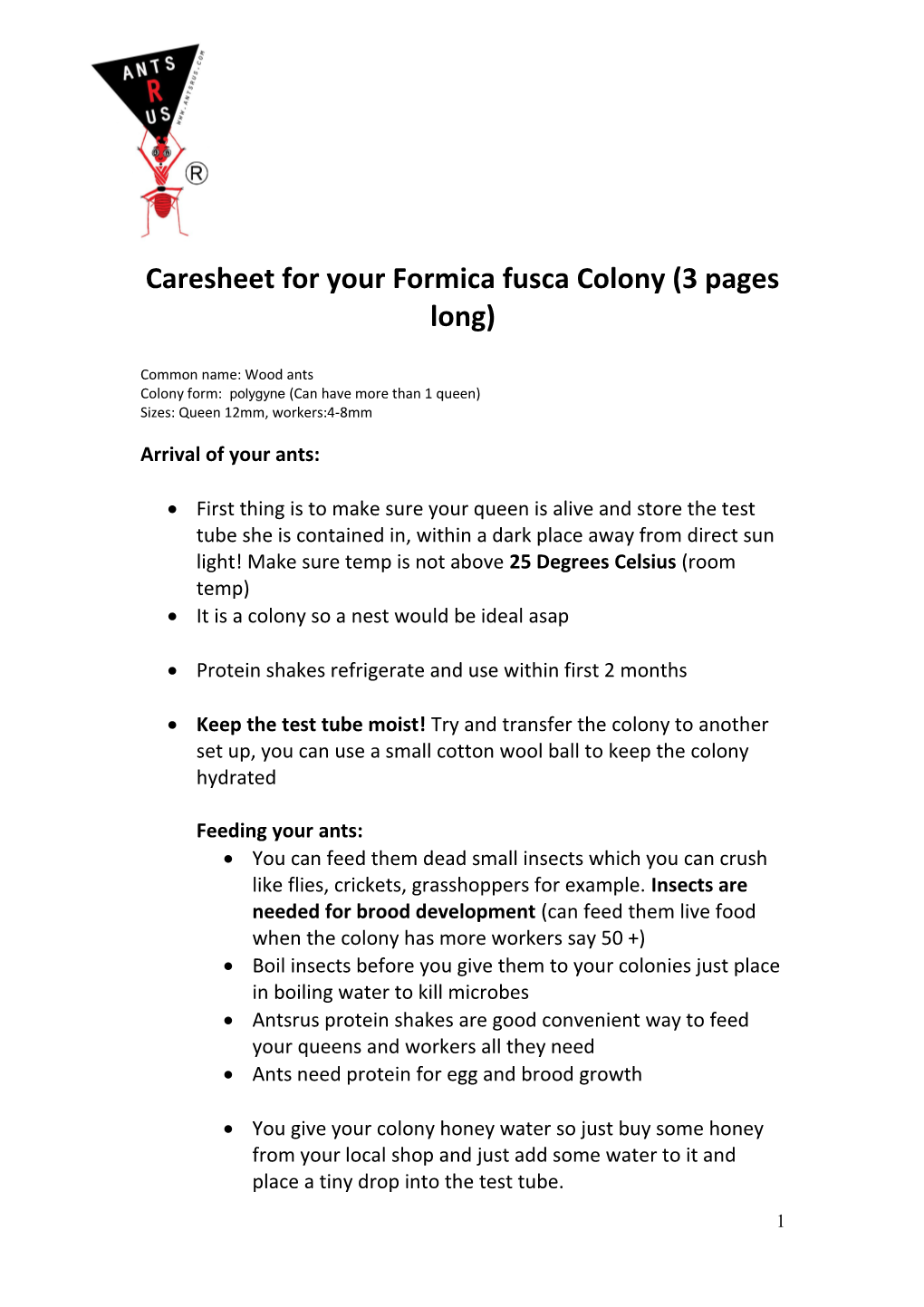 Caresheet for Your Formica Fusca Colony (3 Pages Long)