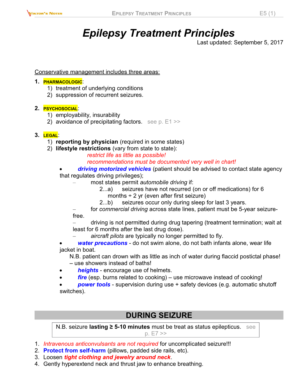 Viktor's Notes Epilepsy Treatment Principles