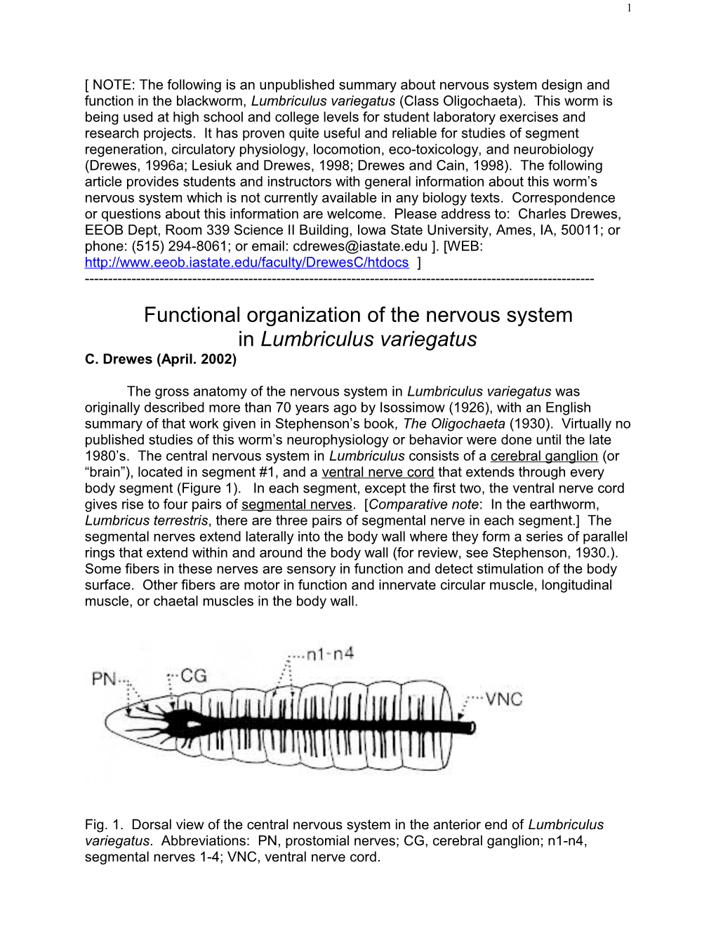 Anatomy of the Central Nervous System