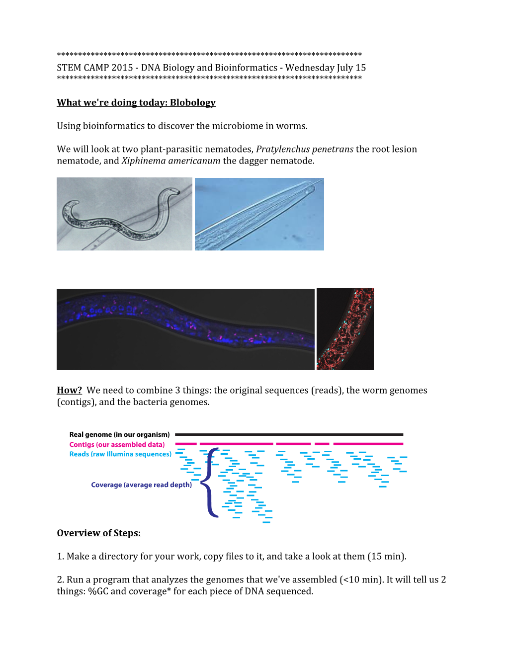 What We're Doing Today: Blobology