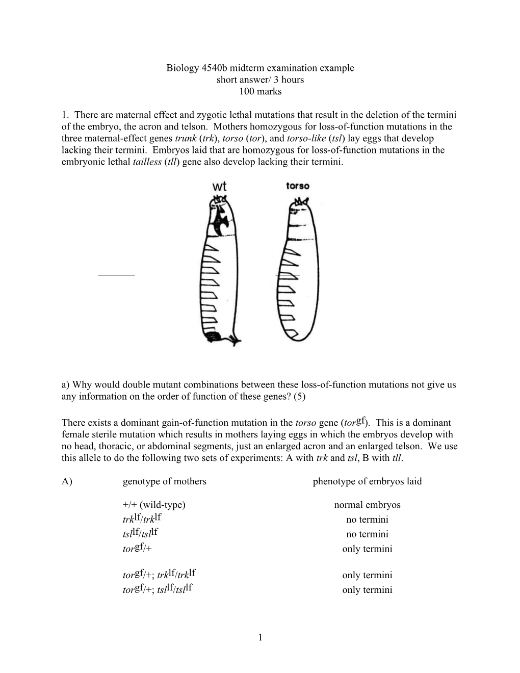 Biology 440B Midterm Examination 2004