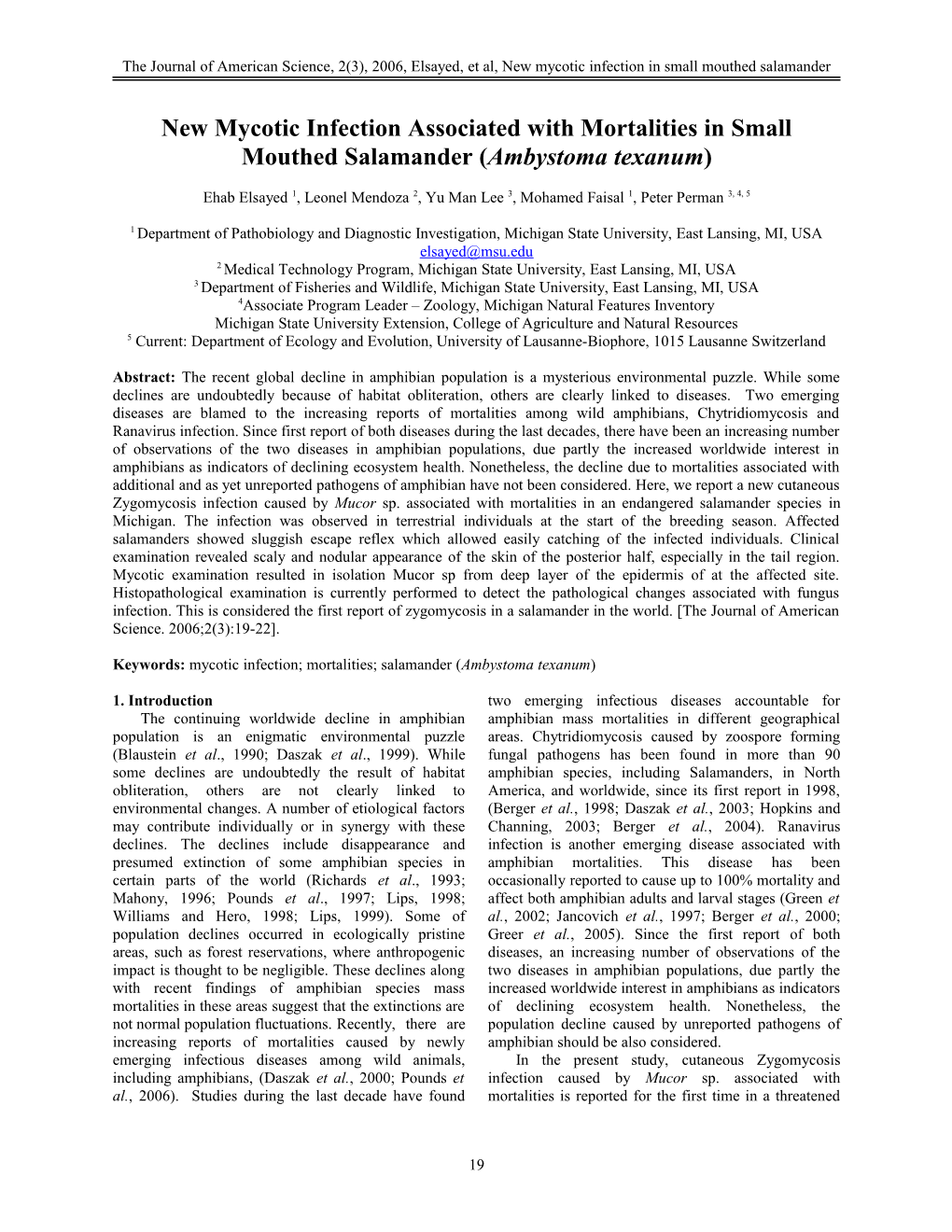 New Mycotic Infection in Small Mouthed Salamander