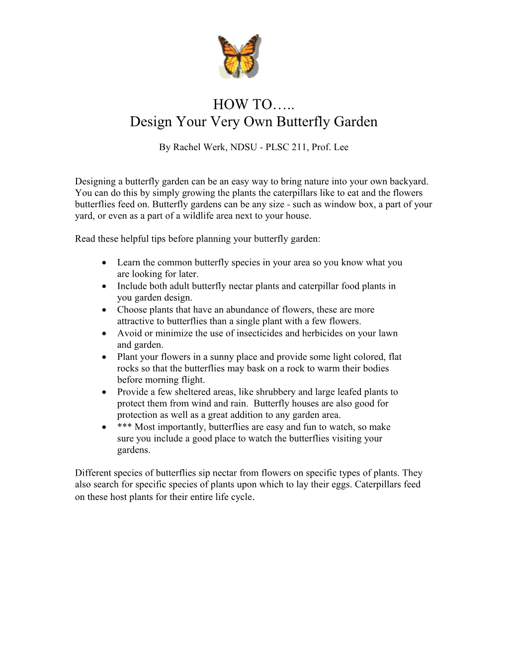 Design Your Very Own Butterflygarden