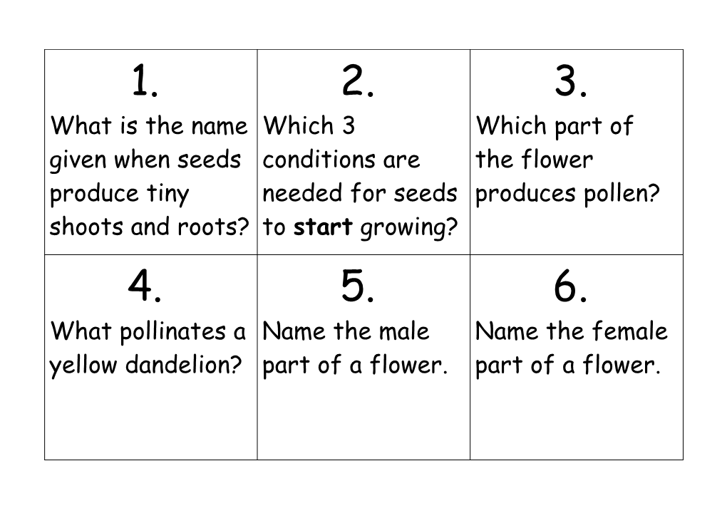 Year 5 Treasure Hunt Life Cycles Pupil Answer Sheet