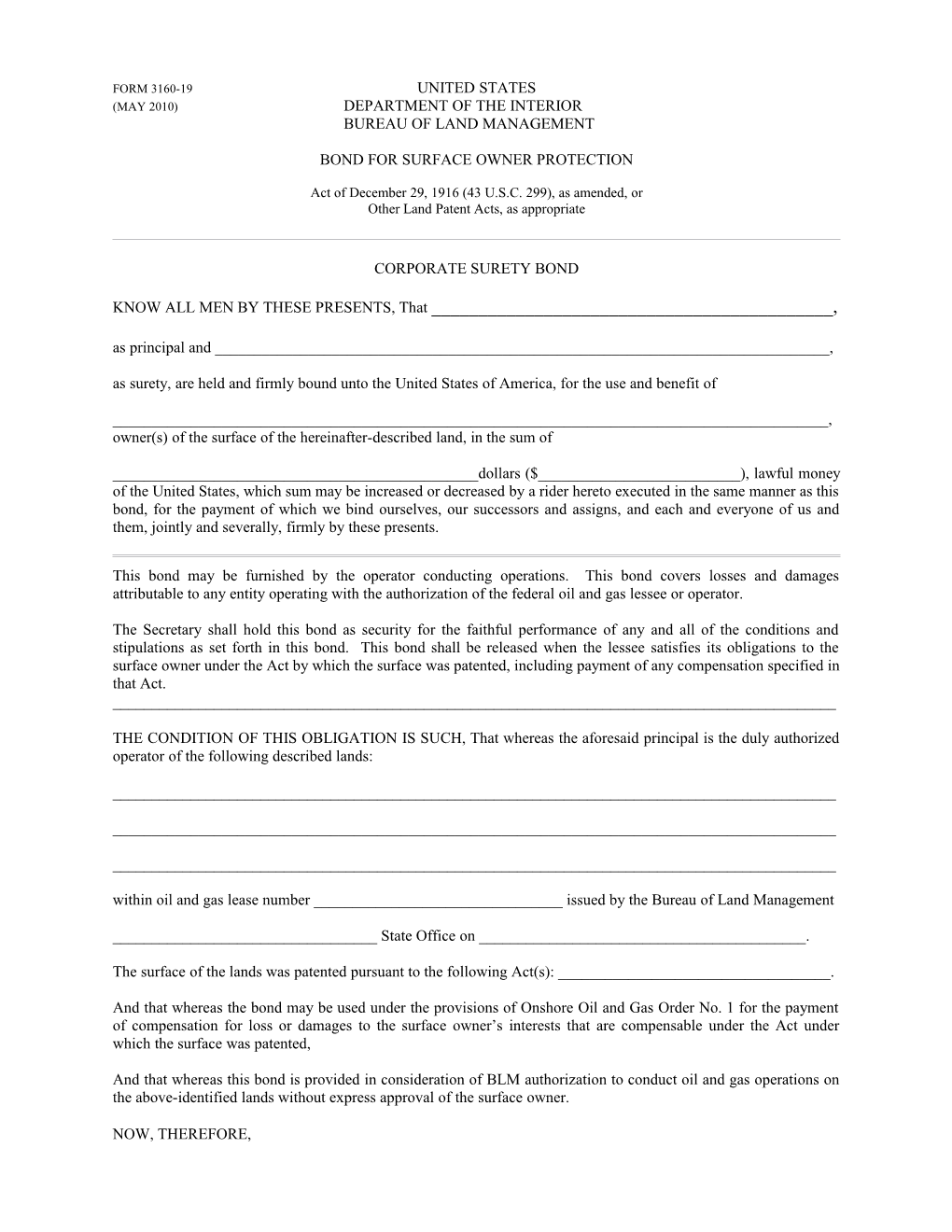 Form 3160-19United States