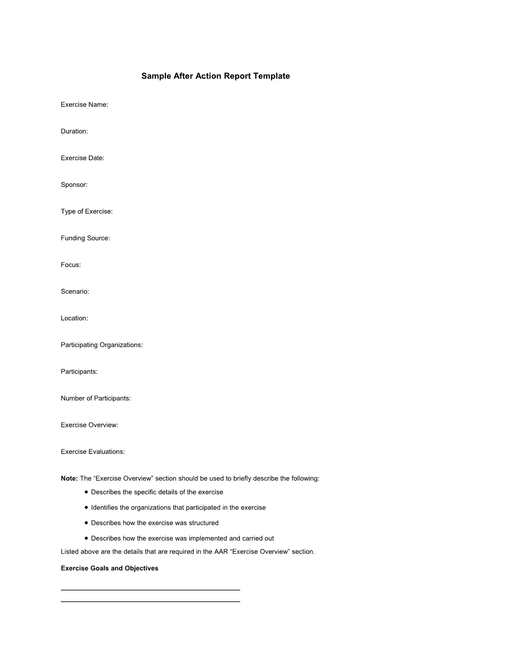 Sample After Action Report Template