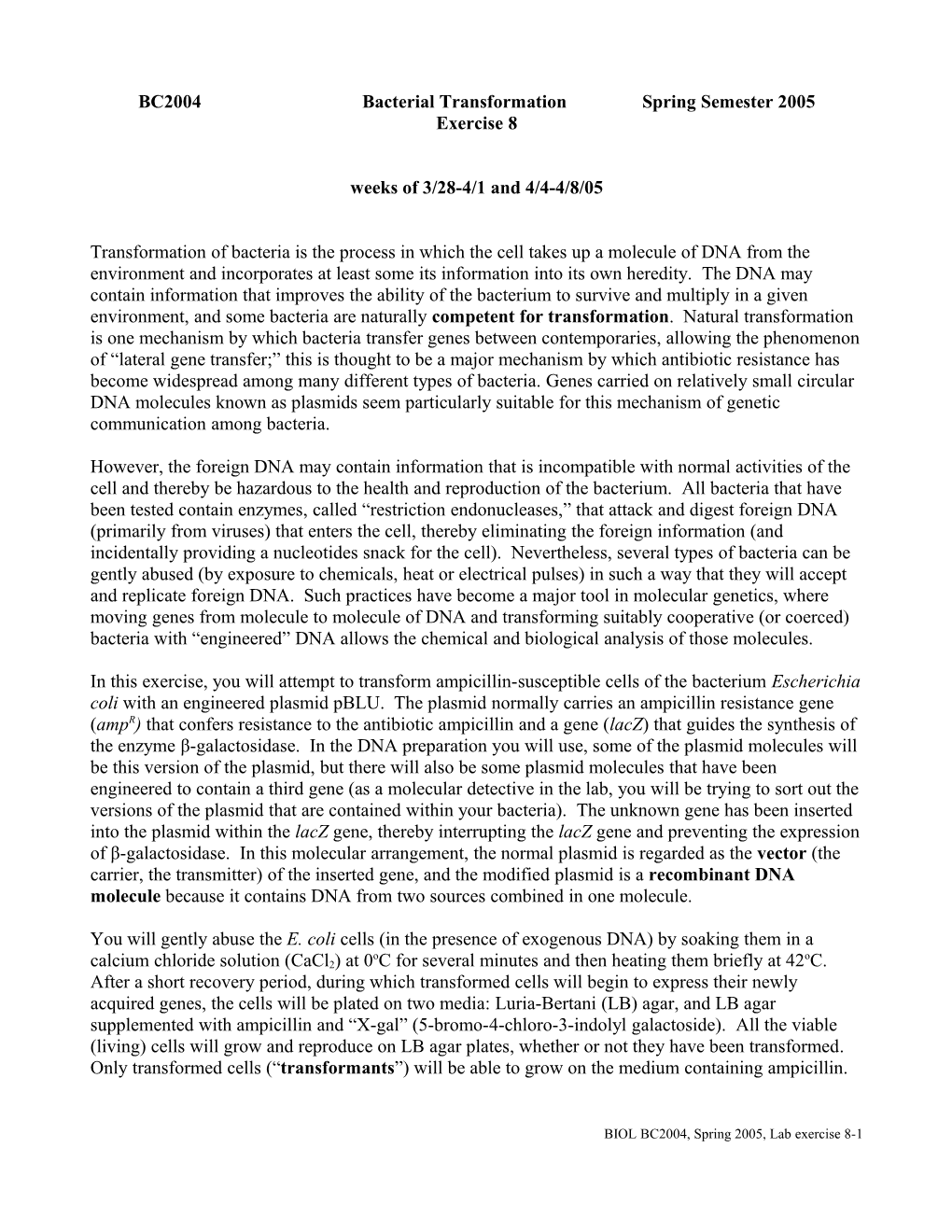 BC2004 Bacterial Transformationspring Semester 2005