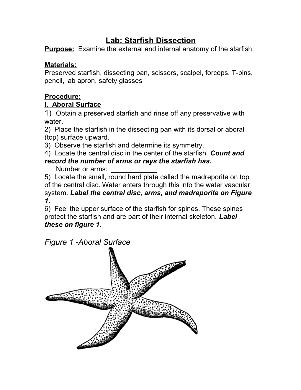 Lab: Starfish Dissection