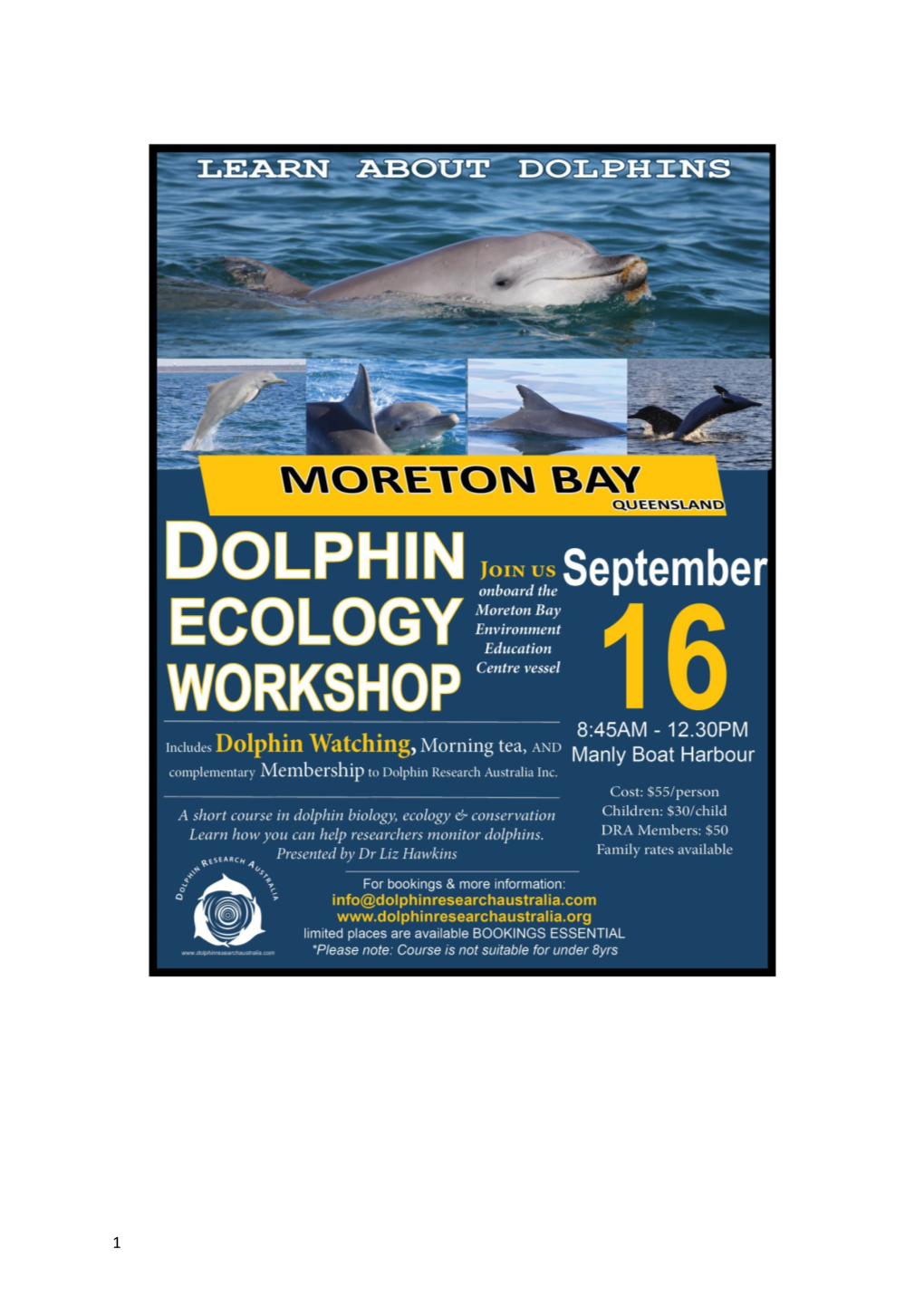 Moreton Bay Dolphin Ecology Workshop