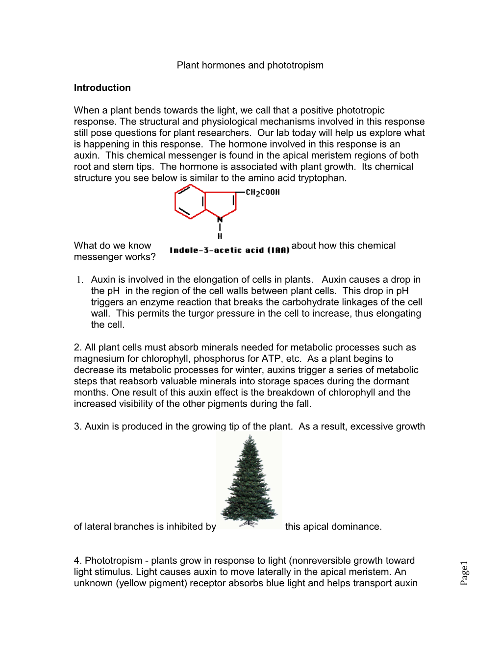 Plant Hormones and Phototropism