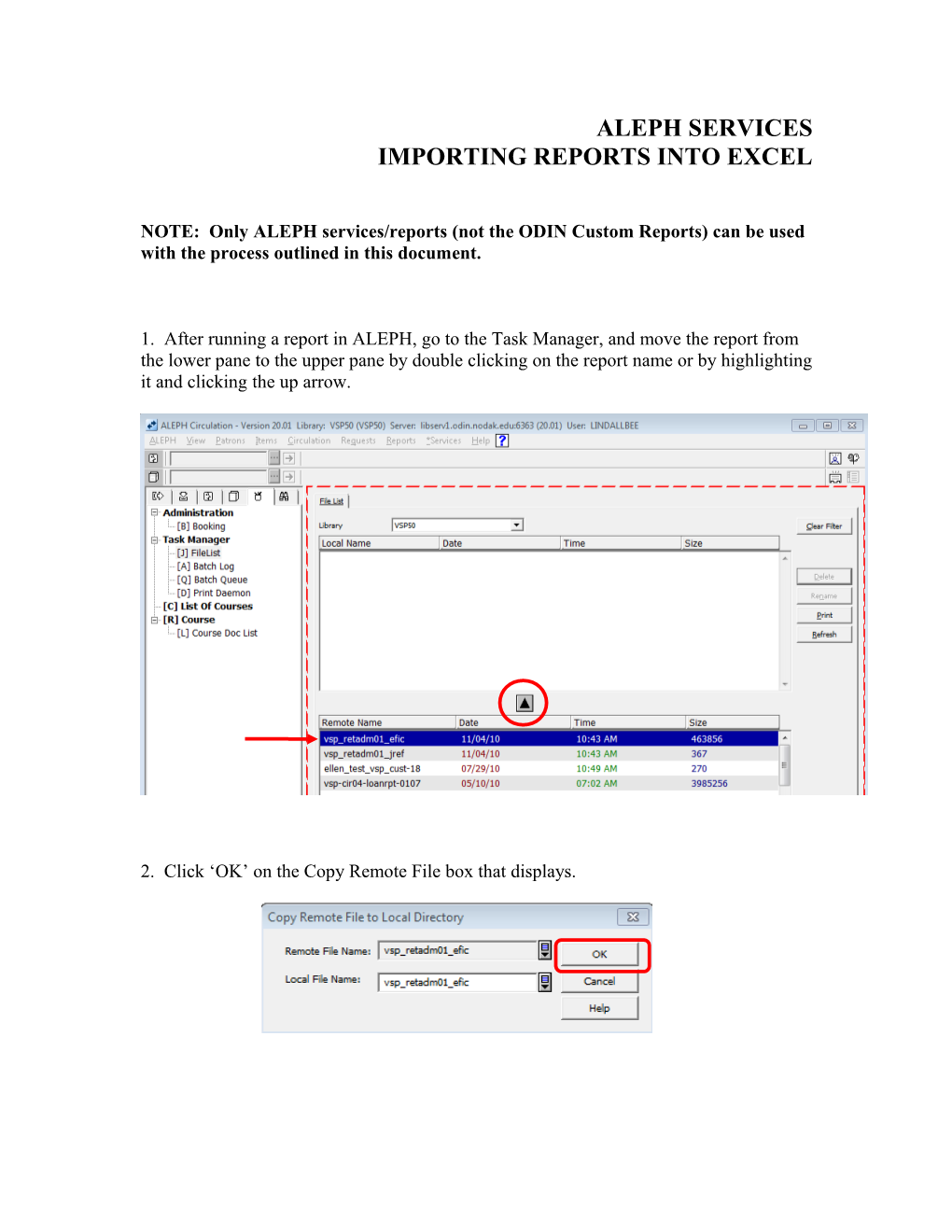 Importing Reports Into Excel