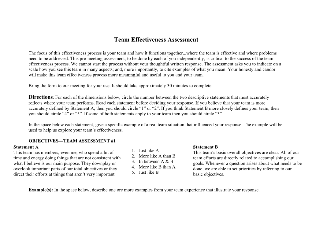 Team Effectiveness Assessment