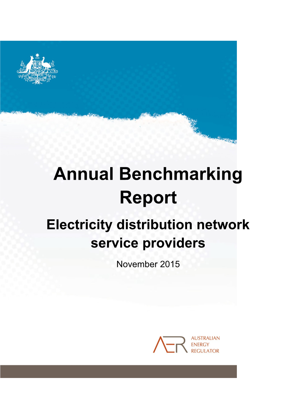 Electricity Distribution Network Service Providers