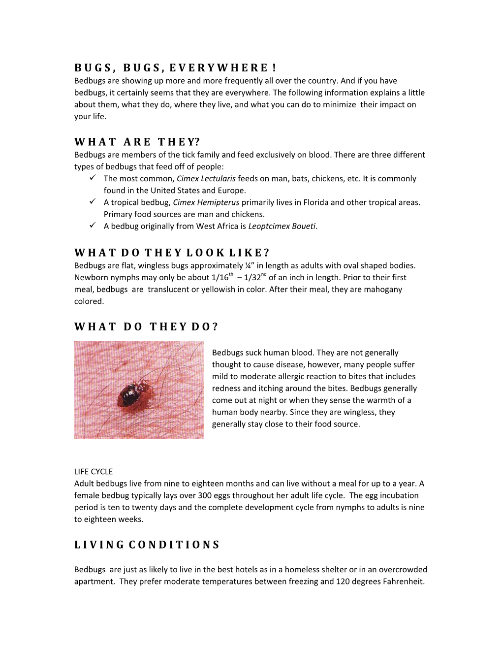 A Bedbug Originally from West Africa Is Leoptcimex Boueti