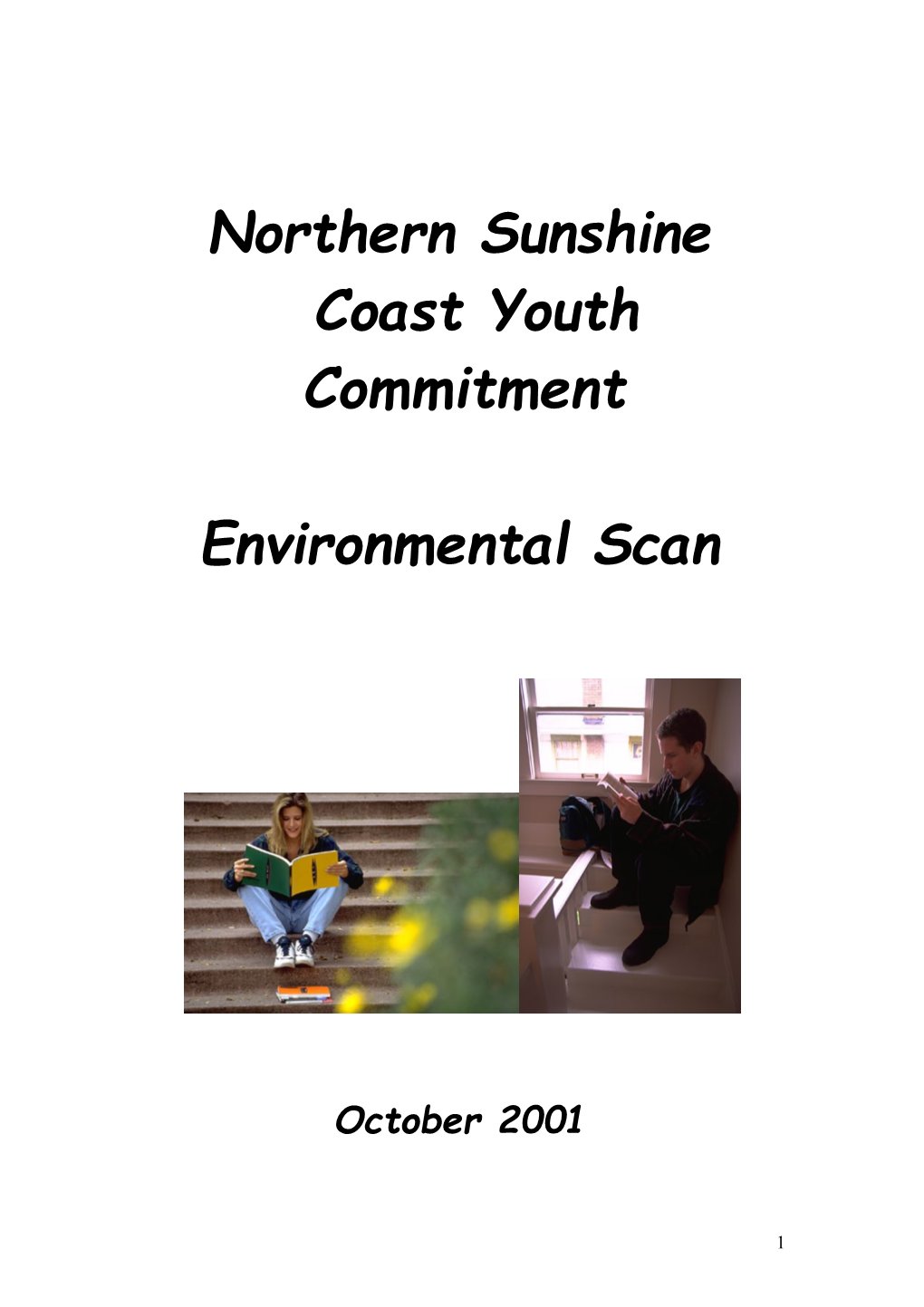 Noosa Youth Commitment Environmental Scan