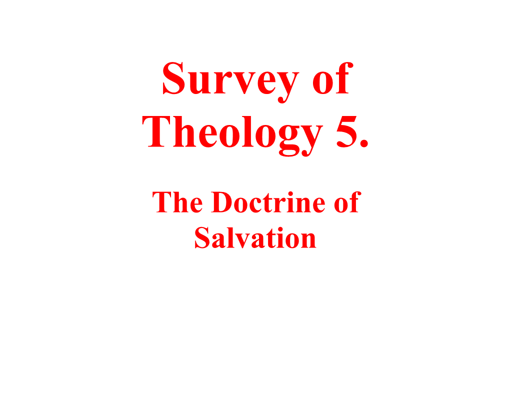 Survey of Theology 5