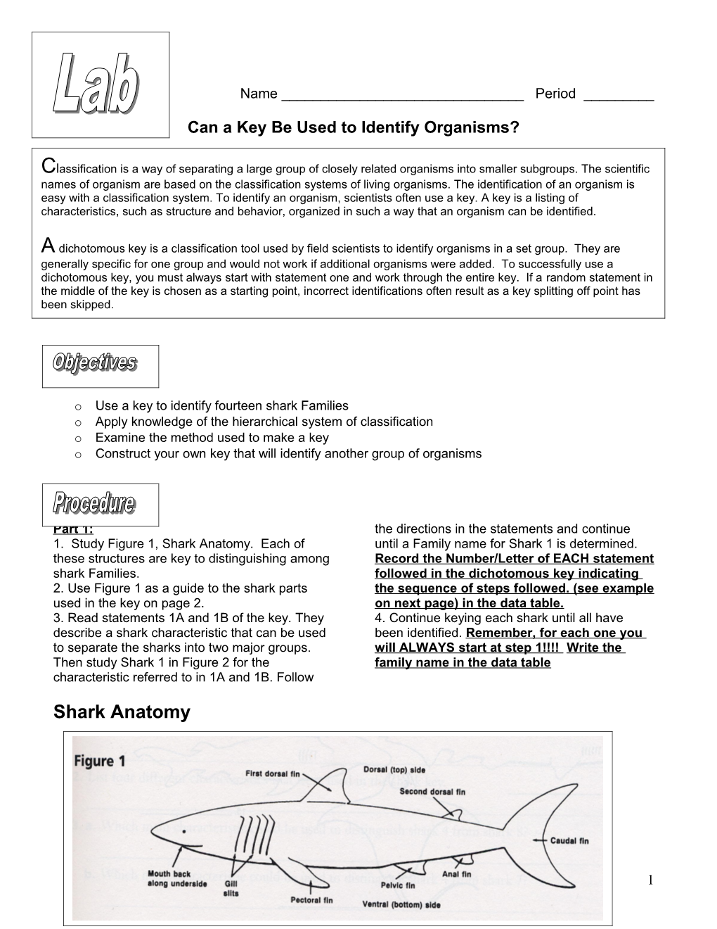 Can a Key Be Used to Identify Organisms?