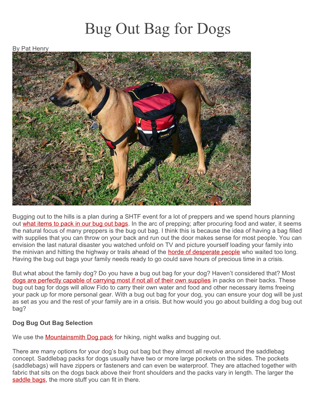 Bug out Bag for Dogs