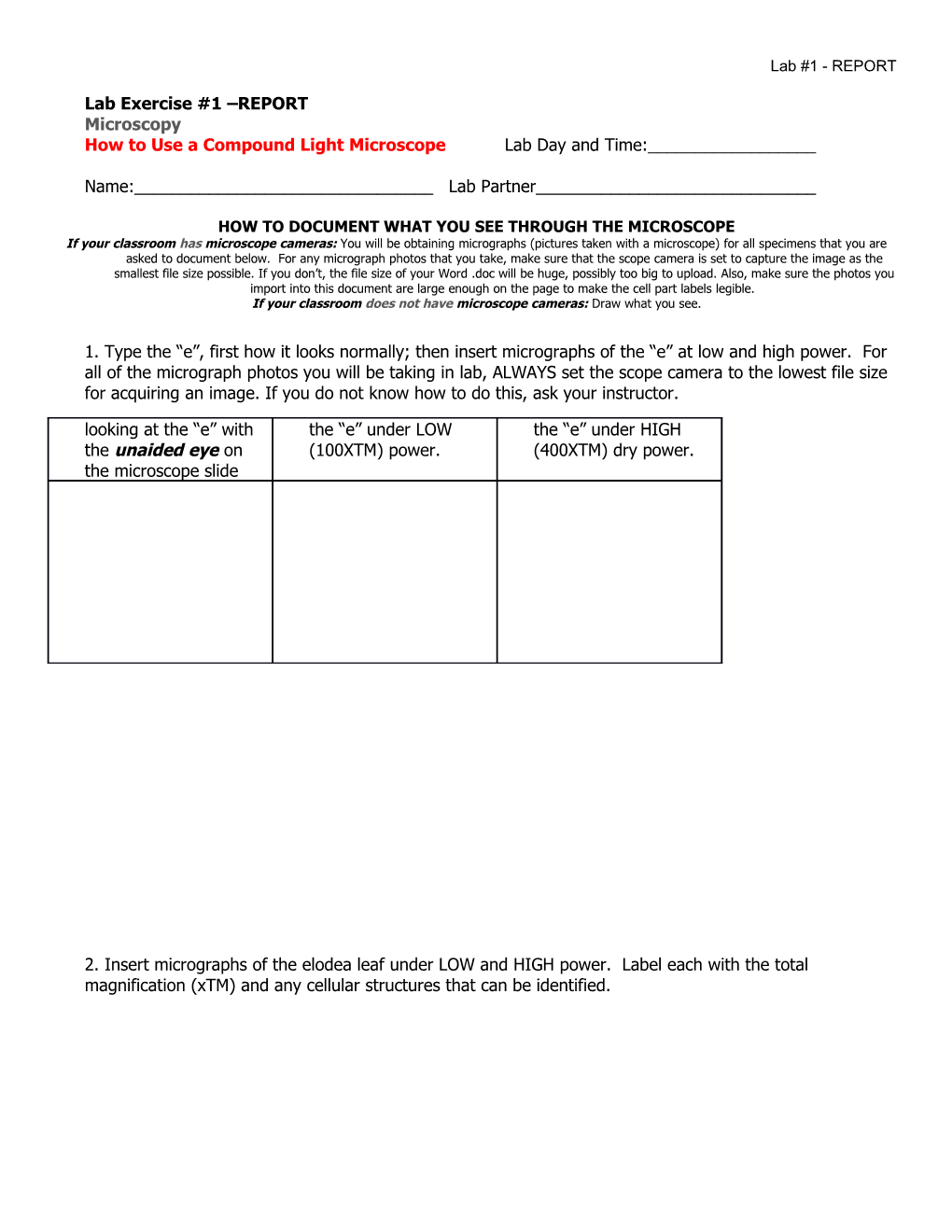 Microscopy Biology Lab Exercise